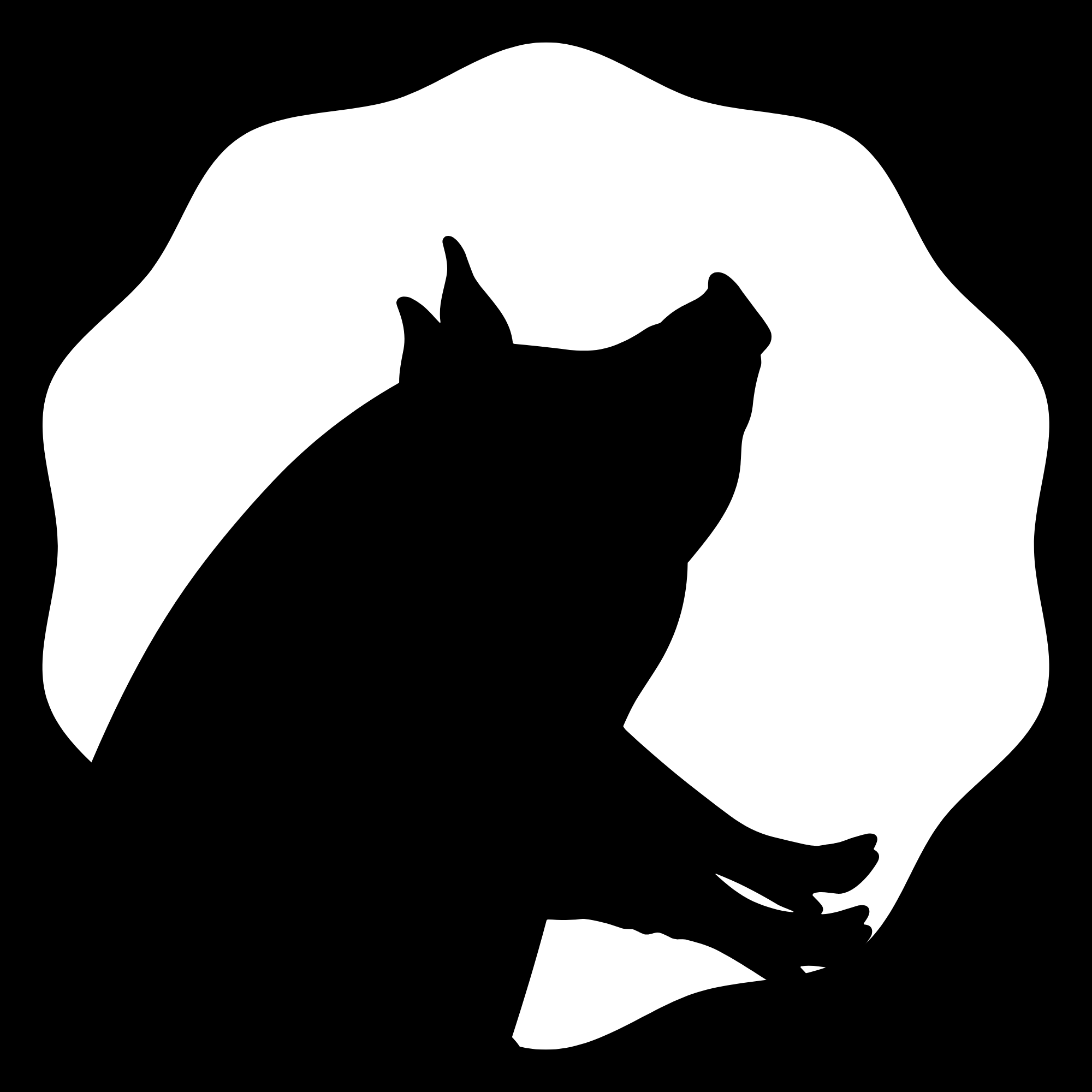 Shadow Pig Studios